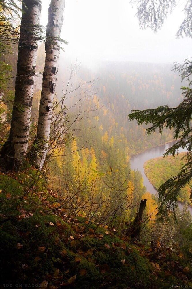 Пейзажи