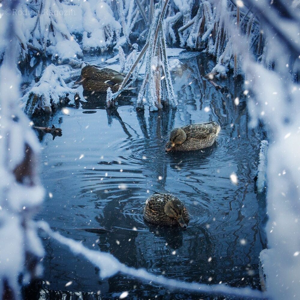 Пейзажи