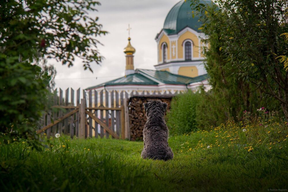 Пейзажи