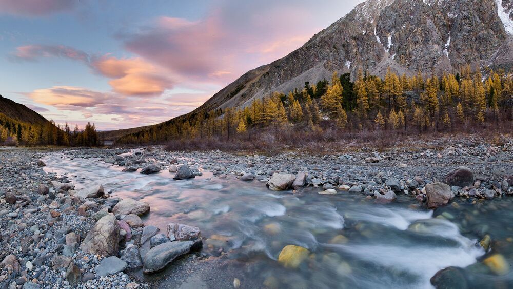 Photo 2372476