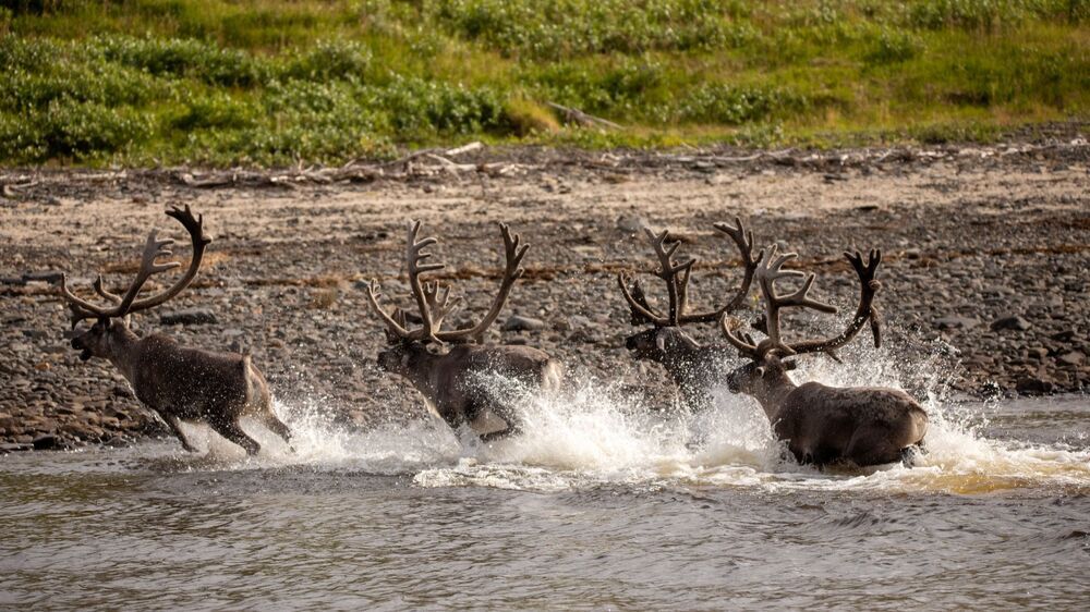 Photo 2372482
