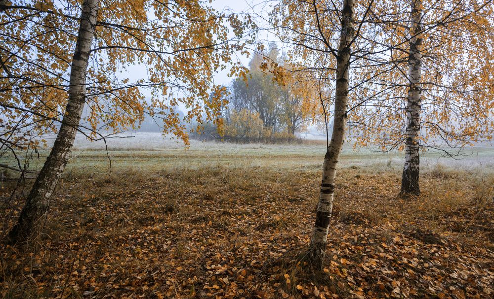 Осеннее утро