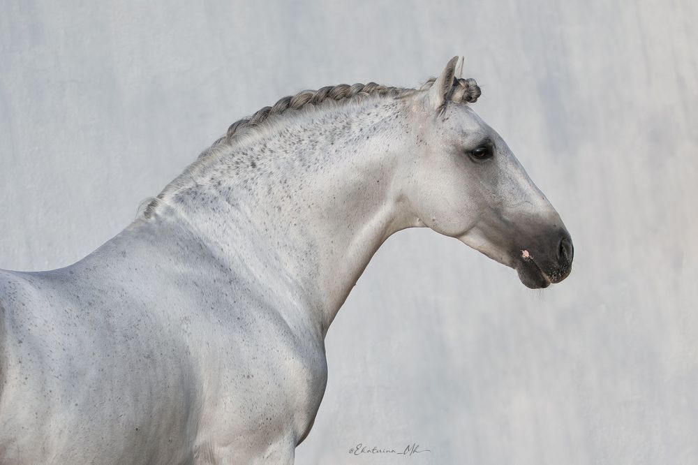 Photo 2390963