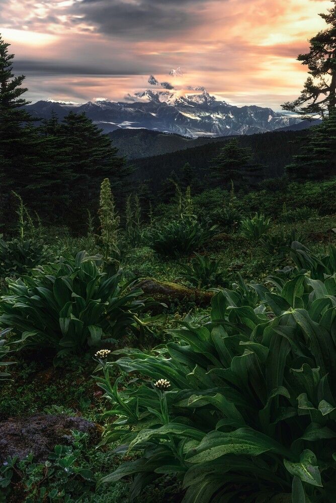 Photo 2392750