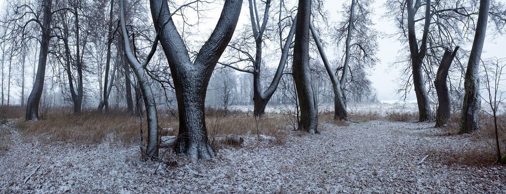 Фотоассорти