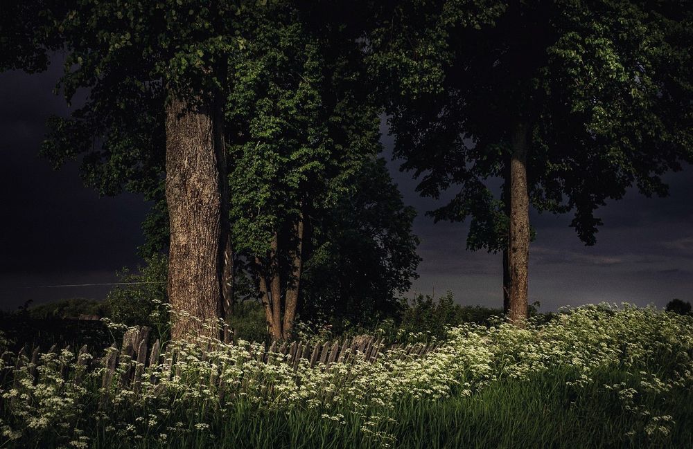 Photo 2395321