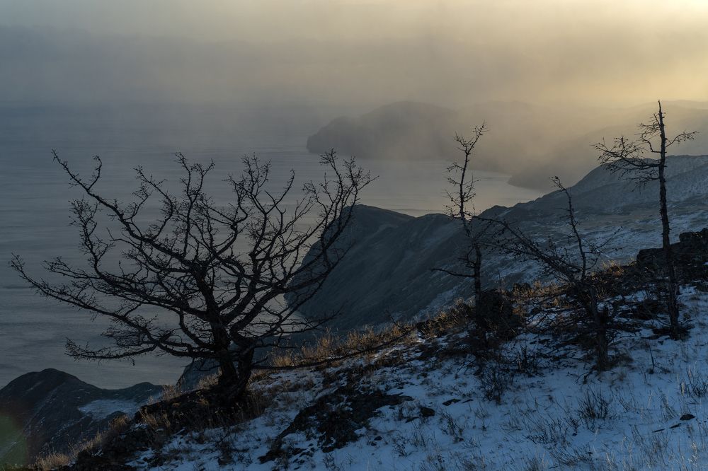 Вид на мыс Орсо.