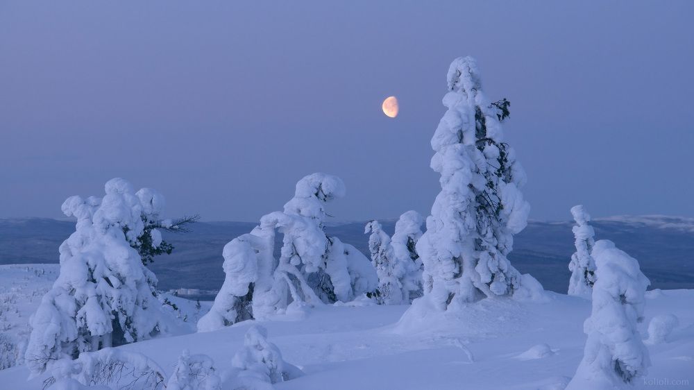 Лунные сумерки. Предрассветный час.
