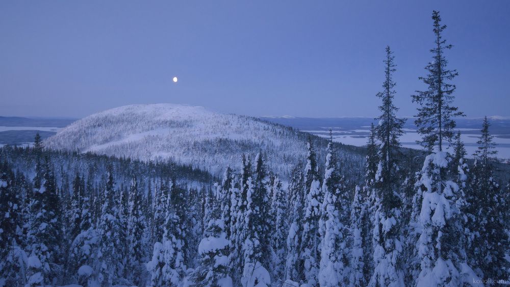 Лунные сумерки. Предрассветный час.