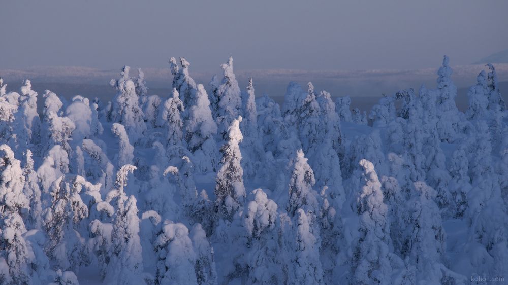 Лунные сумерки. Предрассветный час.