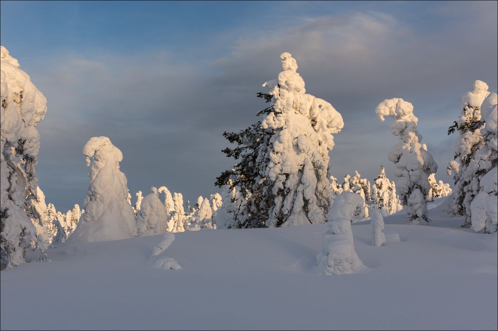 Солнечное начало дня на горе