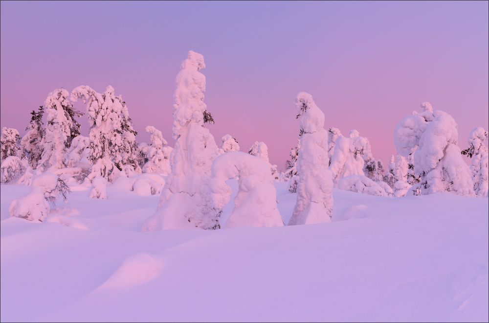 Гламурное утро