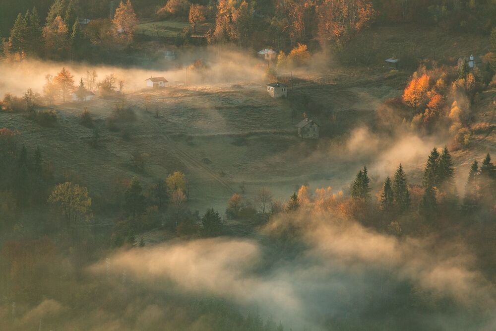Photo 2395964