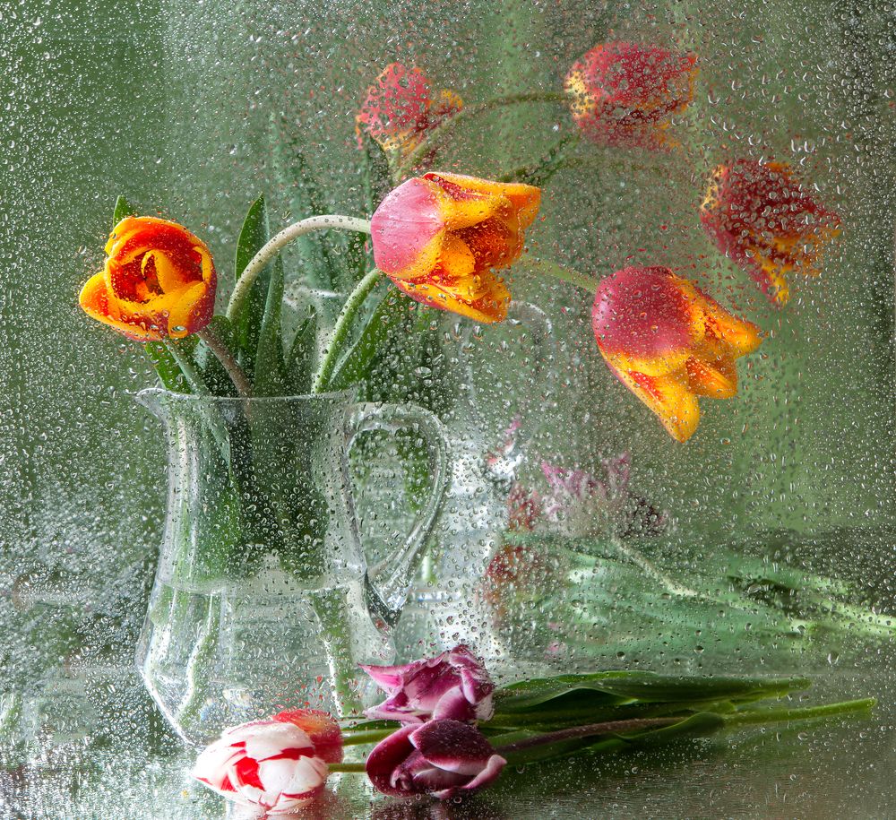 Red flowers