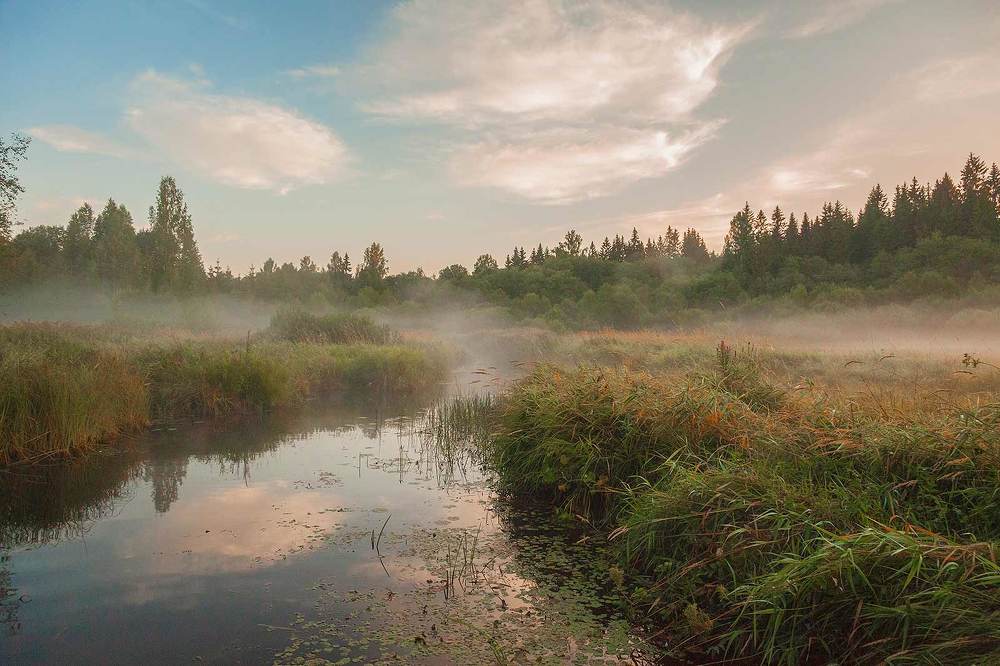 Утренняя река