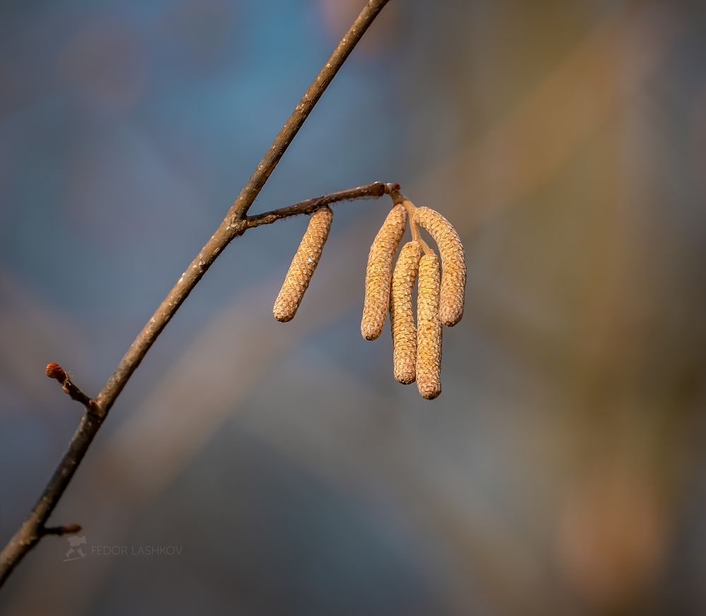 Мартовский день