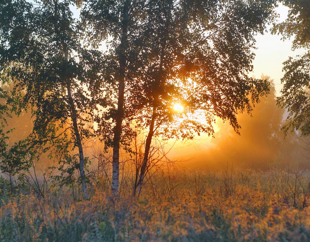 Photo 2398091