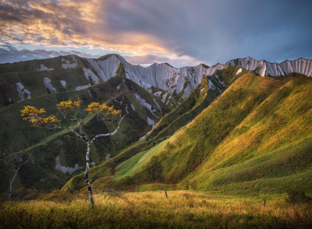Белые скалы (океанская сторона). Итуруп.