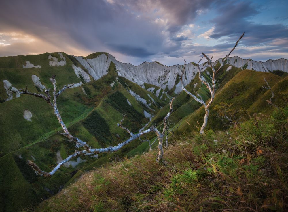 Белые скалы (океанская сторона). Итуруп.