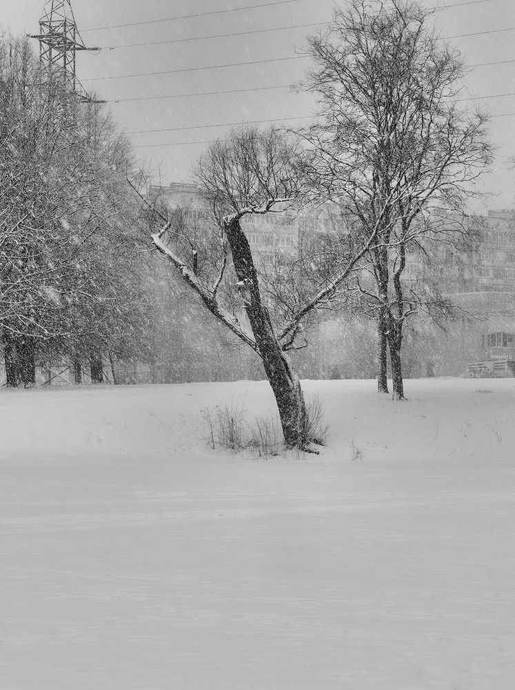 черно-белый мотив
