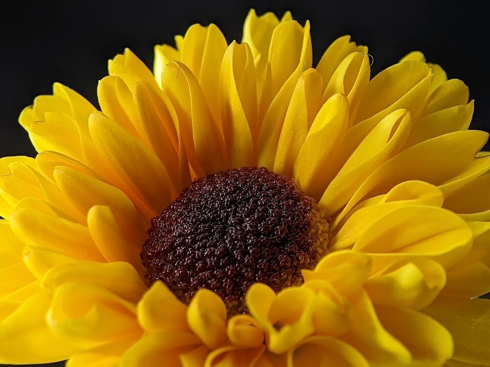 Macro photography