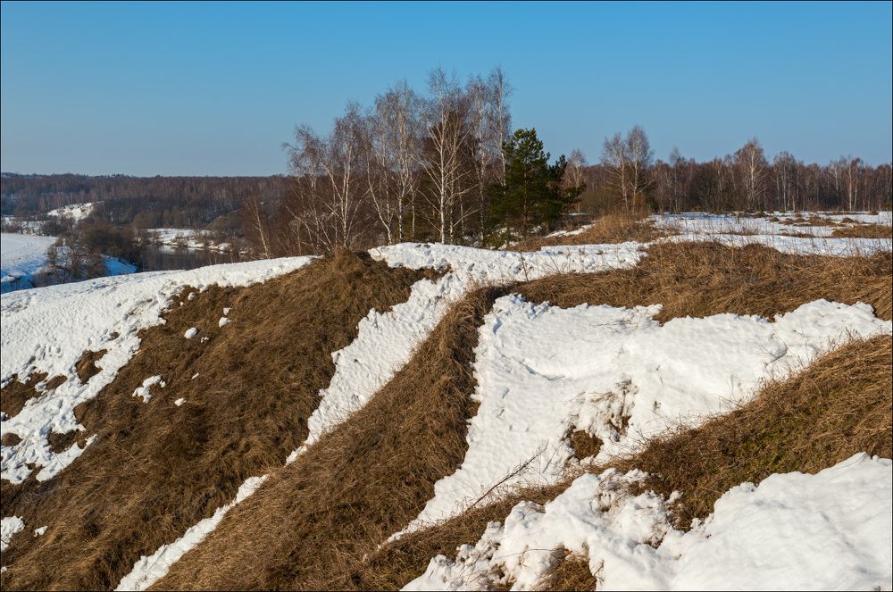 Геометрия белой весны