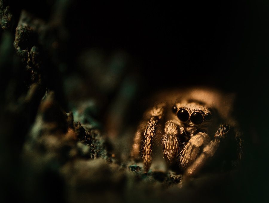 in the deep
