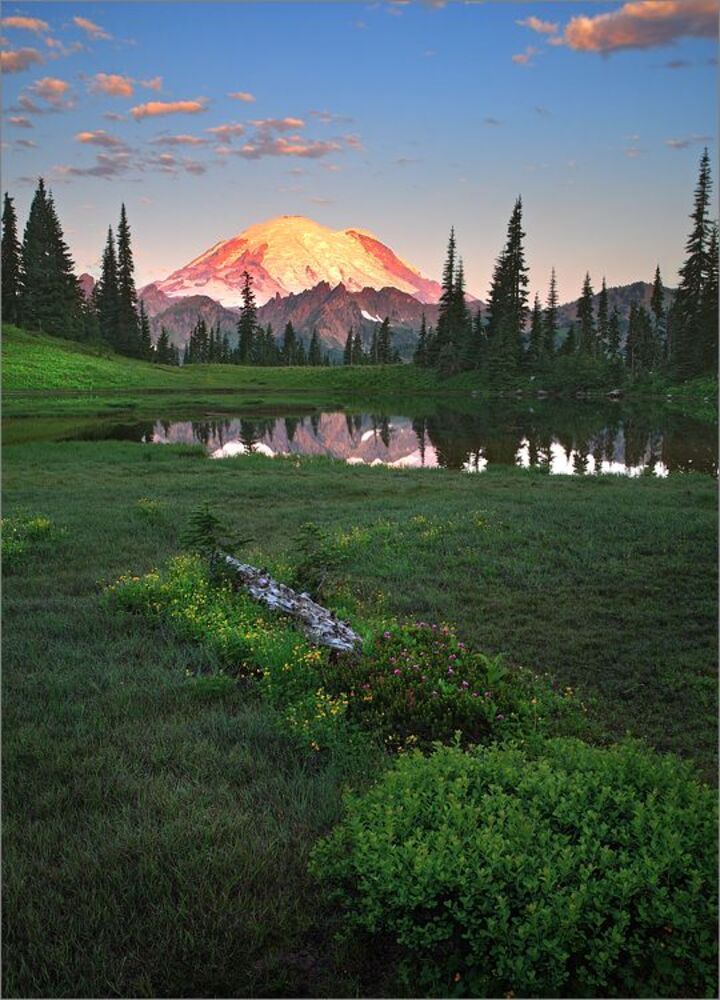 Two Moods of  One Scenery