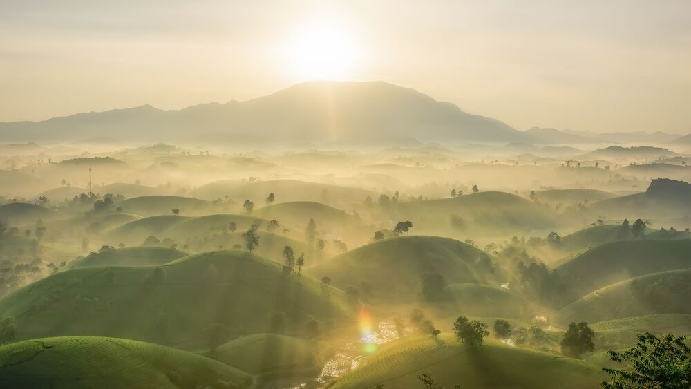 Landscape photo