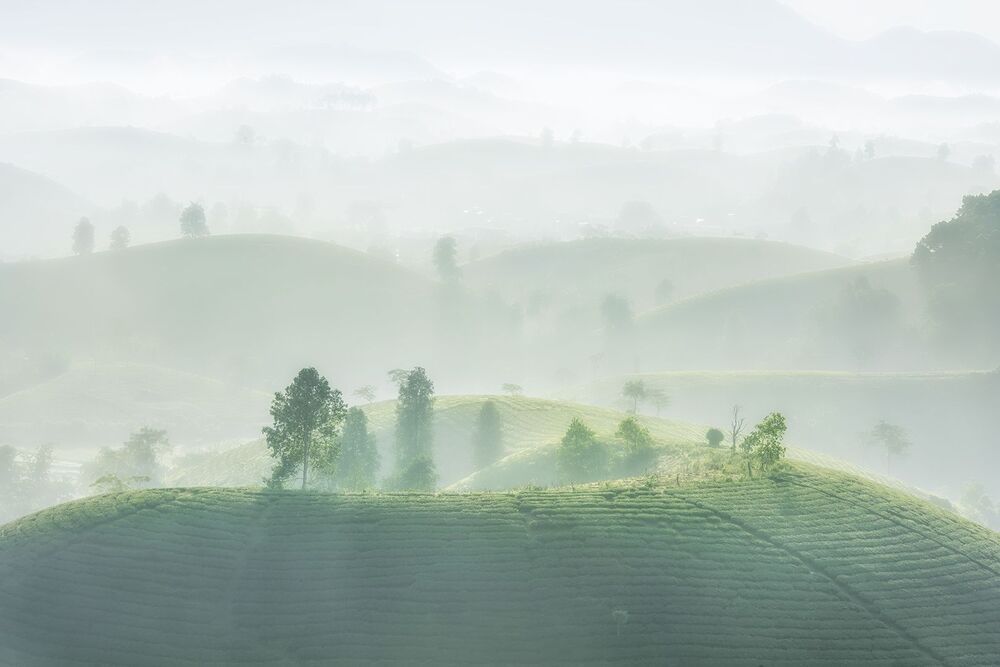 Landscape photo