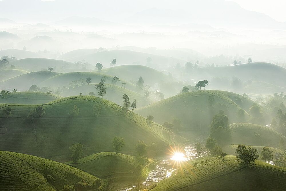 Landscape photo