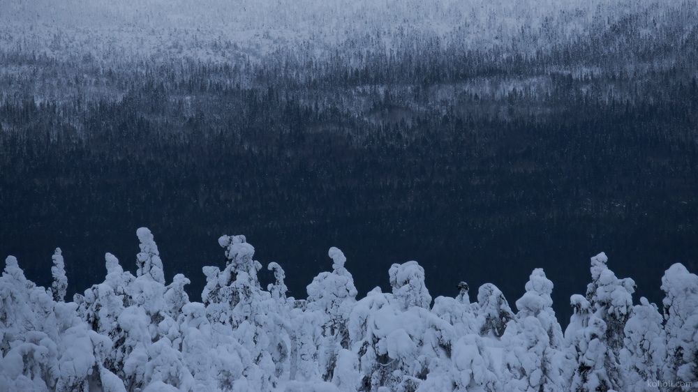 Заколдованные