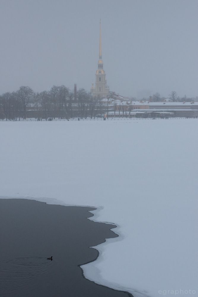 Петербург и зима, уходящие в сон...