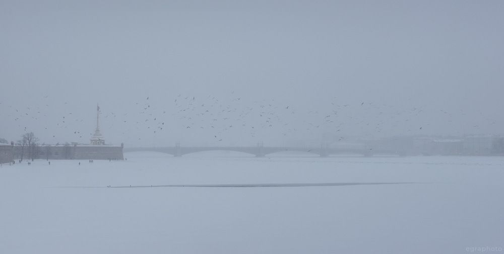 Петербург и зима, уходящие в сон...