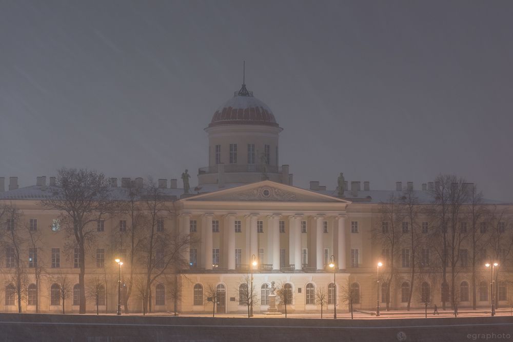 Пушкинский дом