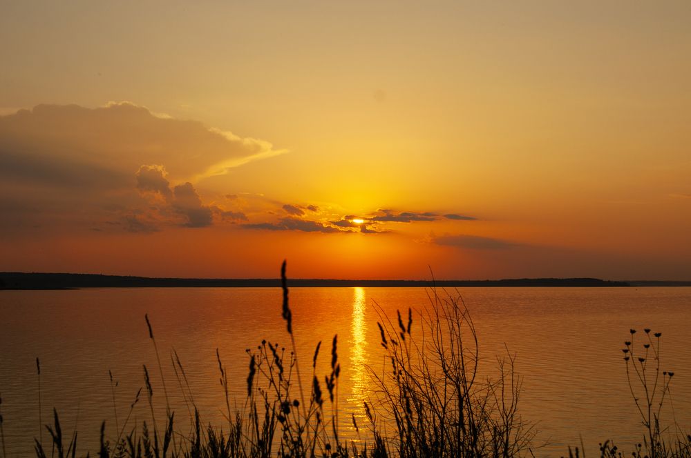 Photo 2401126
