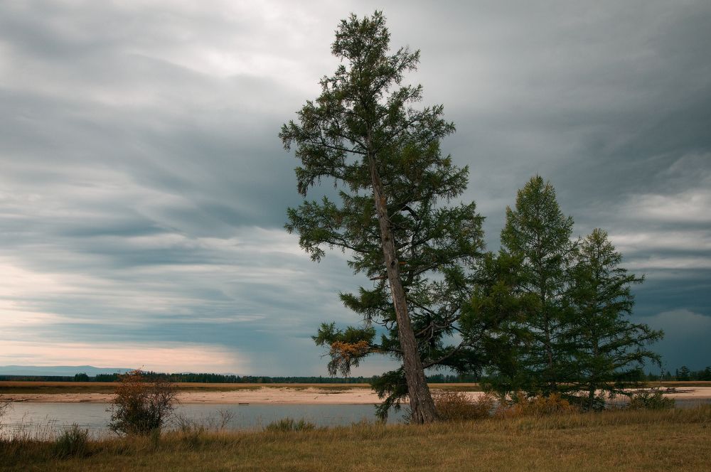 Баргузинские зарисовки