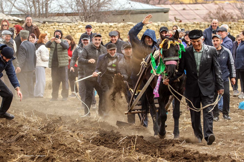 Праздник первой борозды..