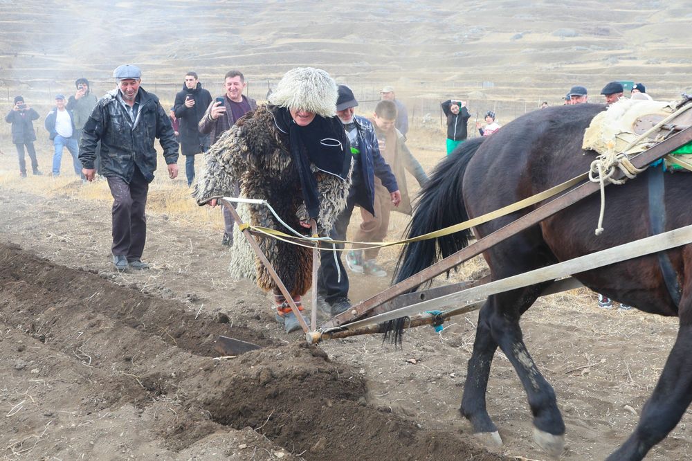 Праздник первой борозды..