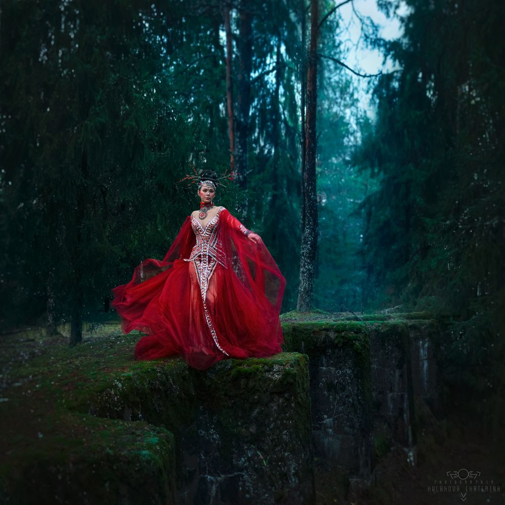 Mystic forest