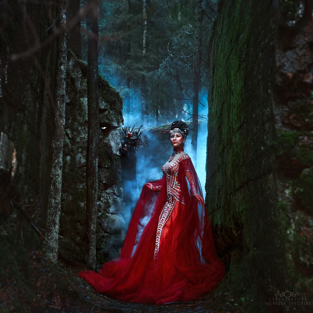 Mystic forest