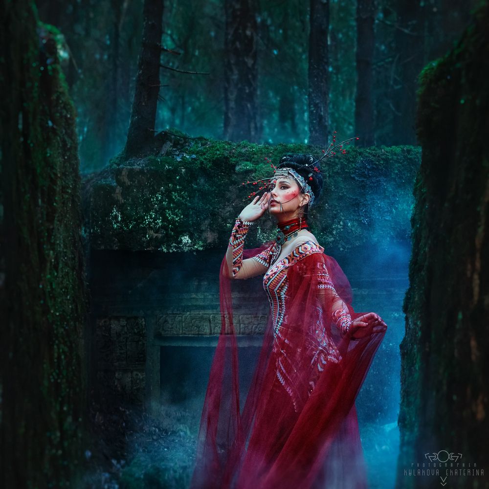 Mystic forest