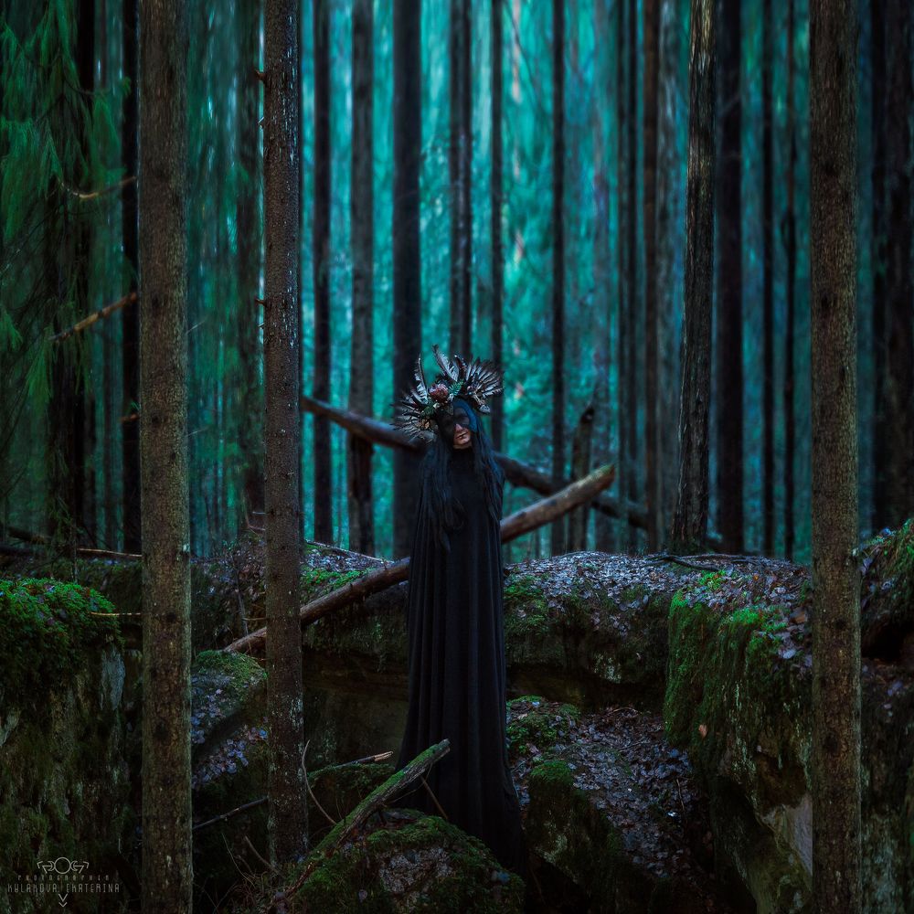Mystic forest