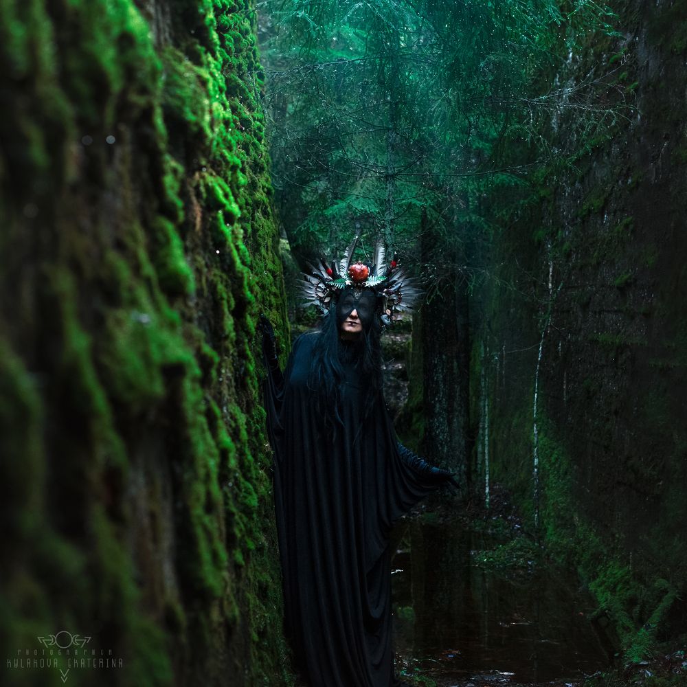 Mystic forest