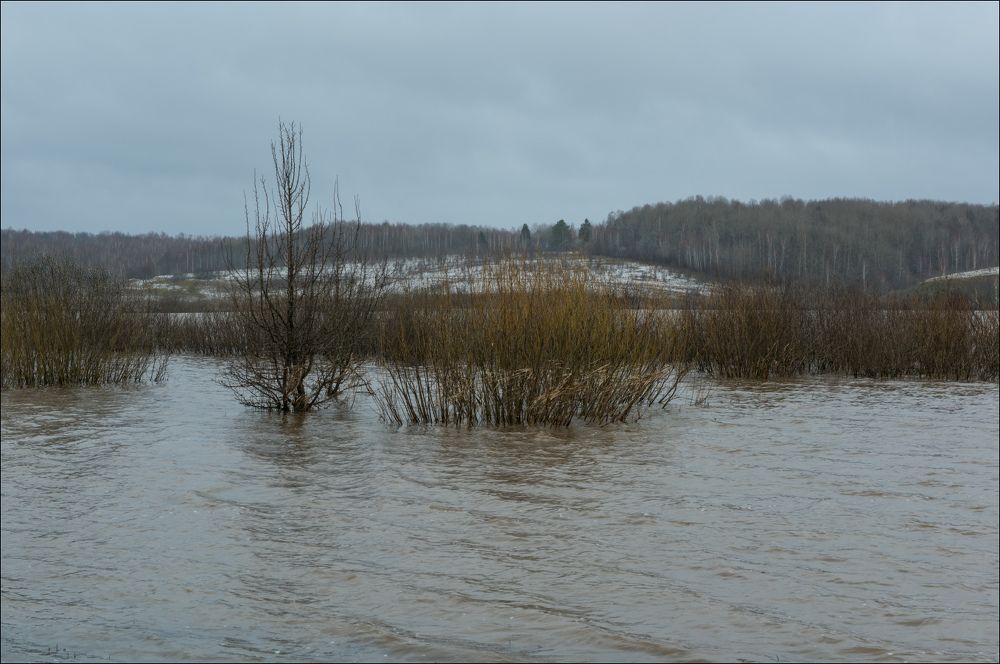 Неласковое весеннее утро