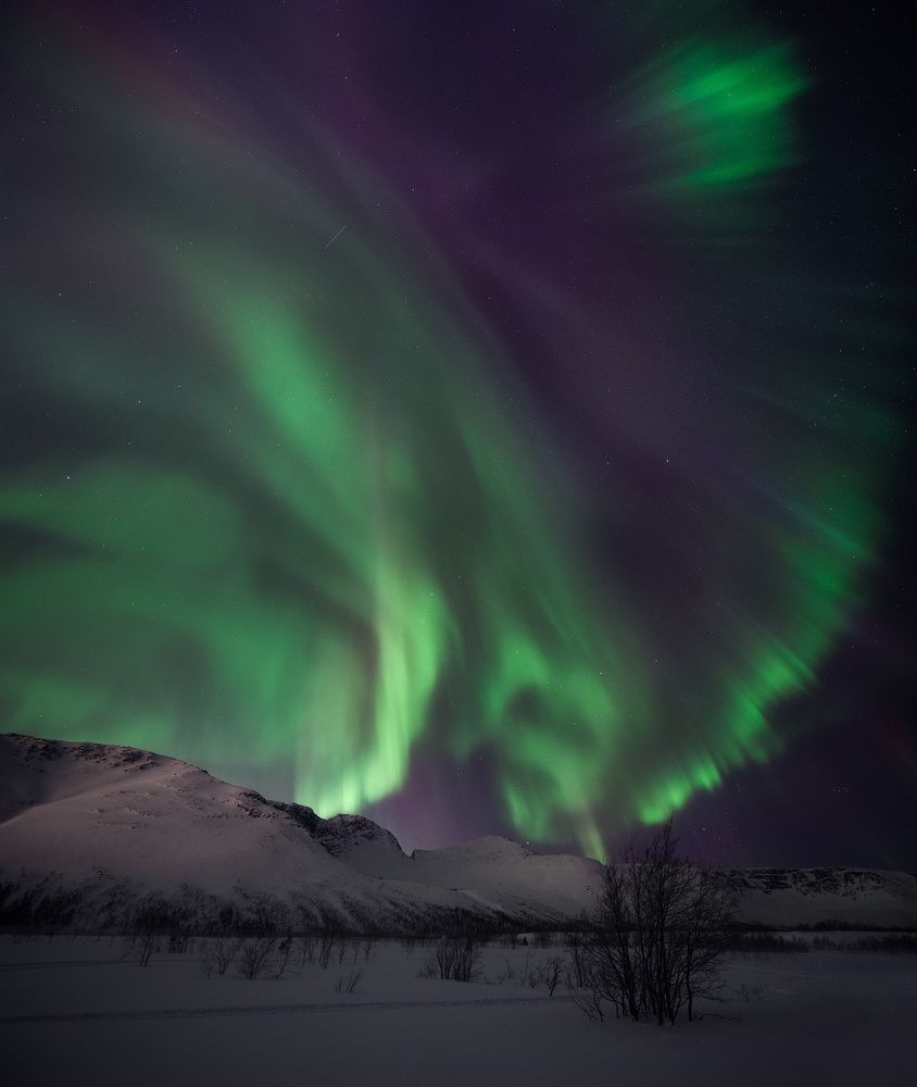 Aurora