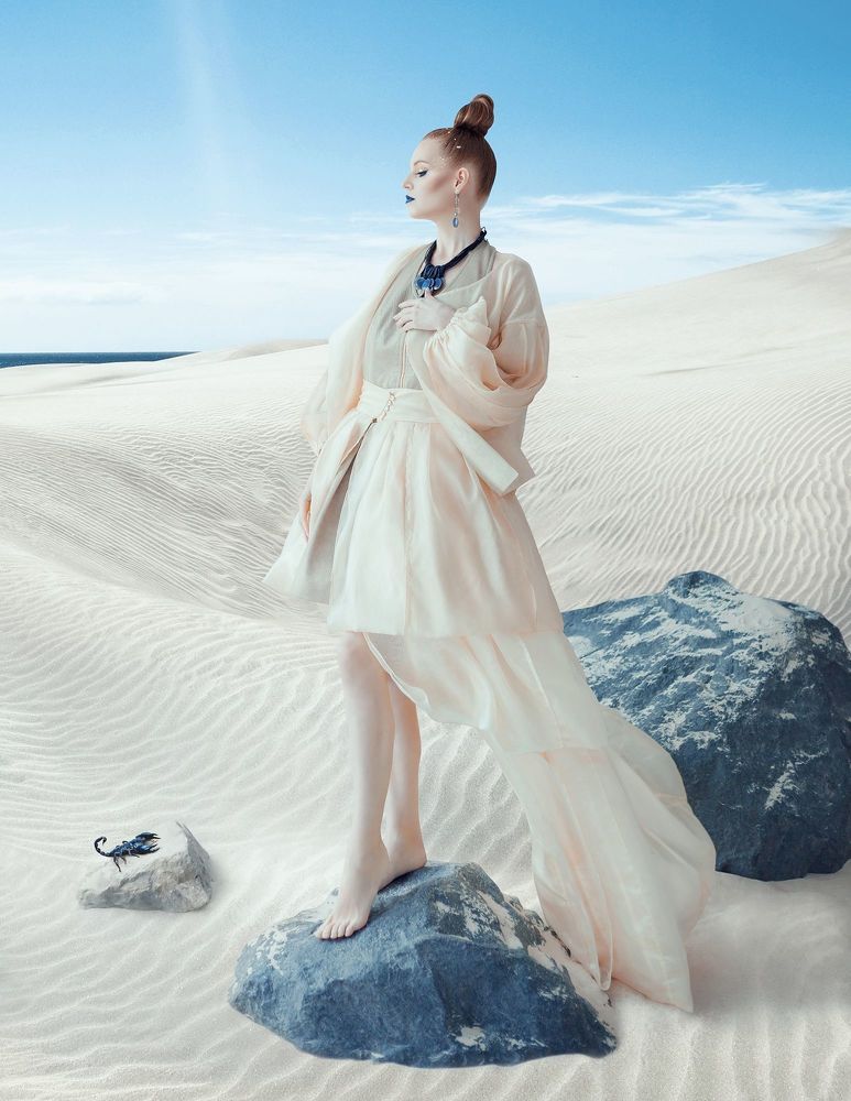 White Desert Story