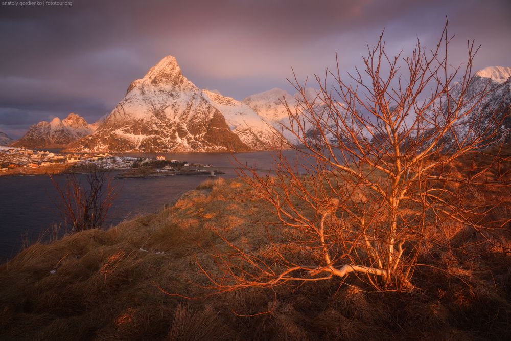 Одно утро на Olenils&oslash;ya