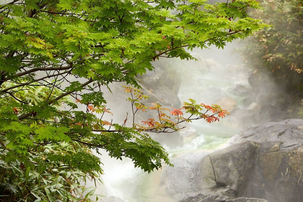 Photo 2403746