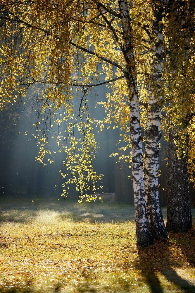 Photo 2403751